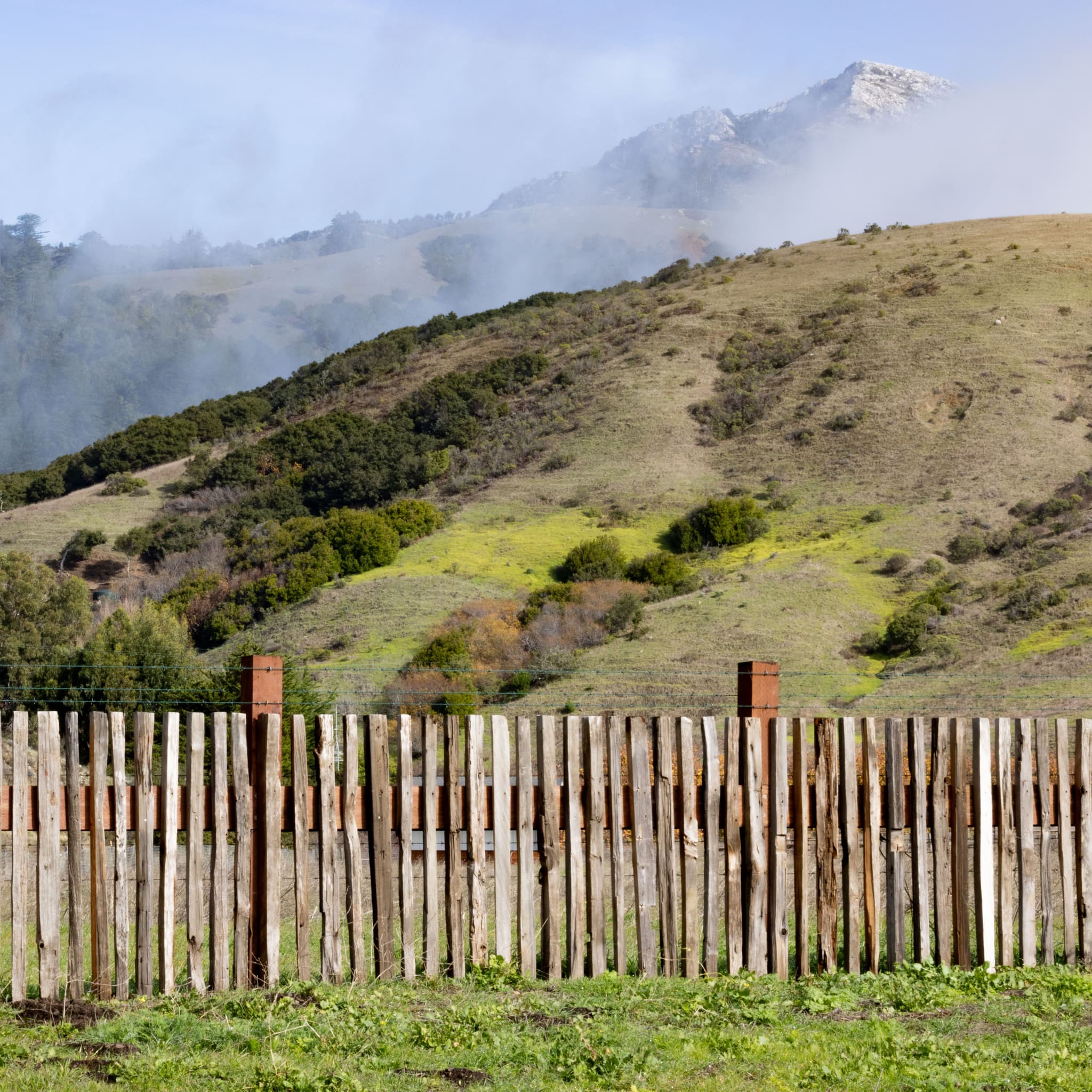 Big Sur V