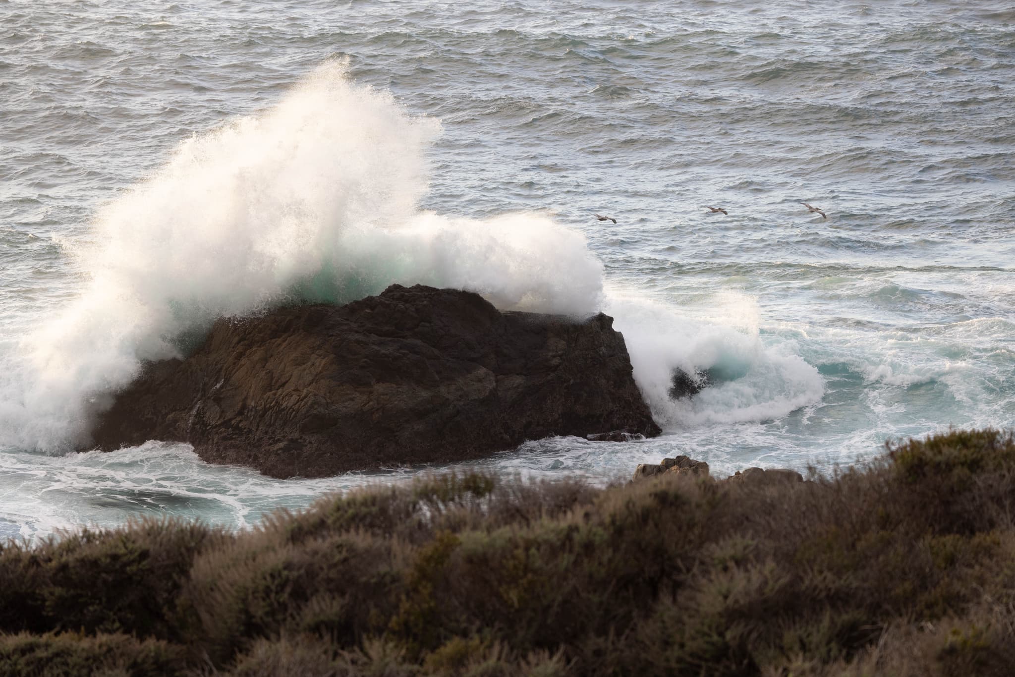 Big Sur II
