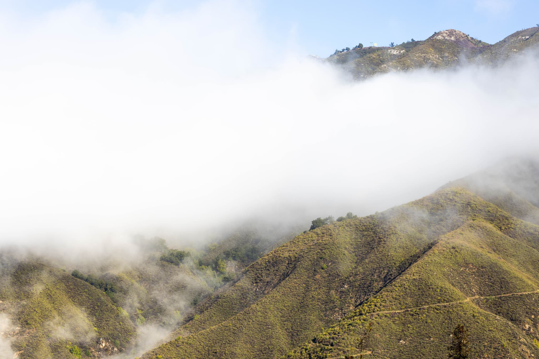 Big Sur VIII