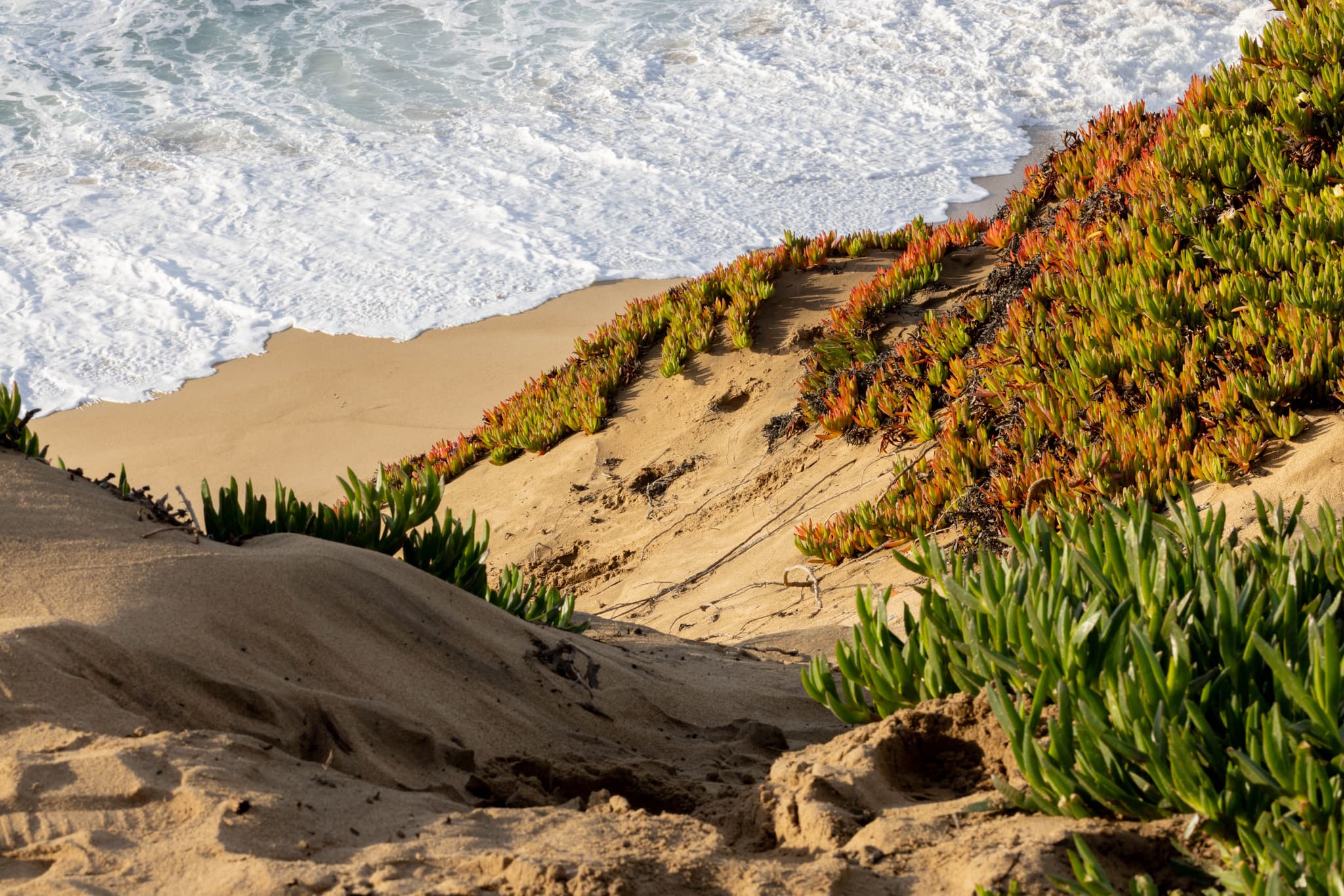Monterey II