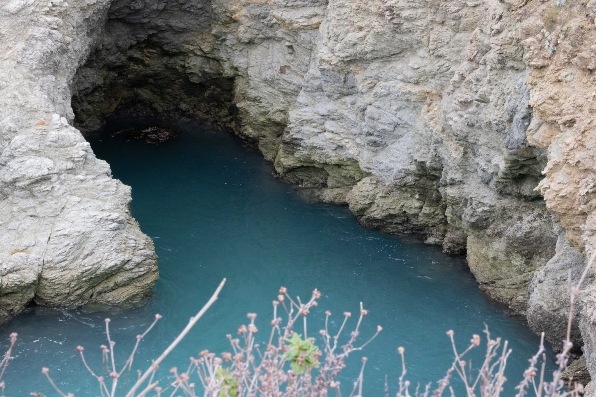 Point Lobos VI